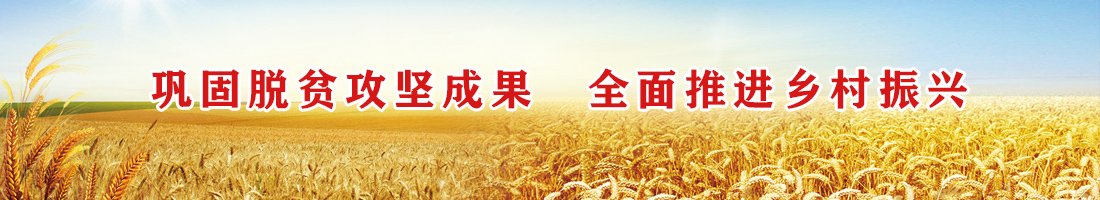 脫貧攻堅 鄉村振興